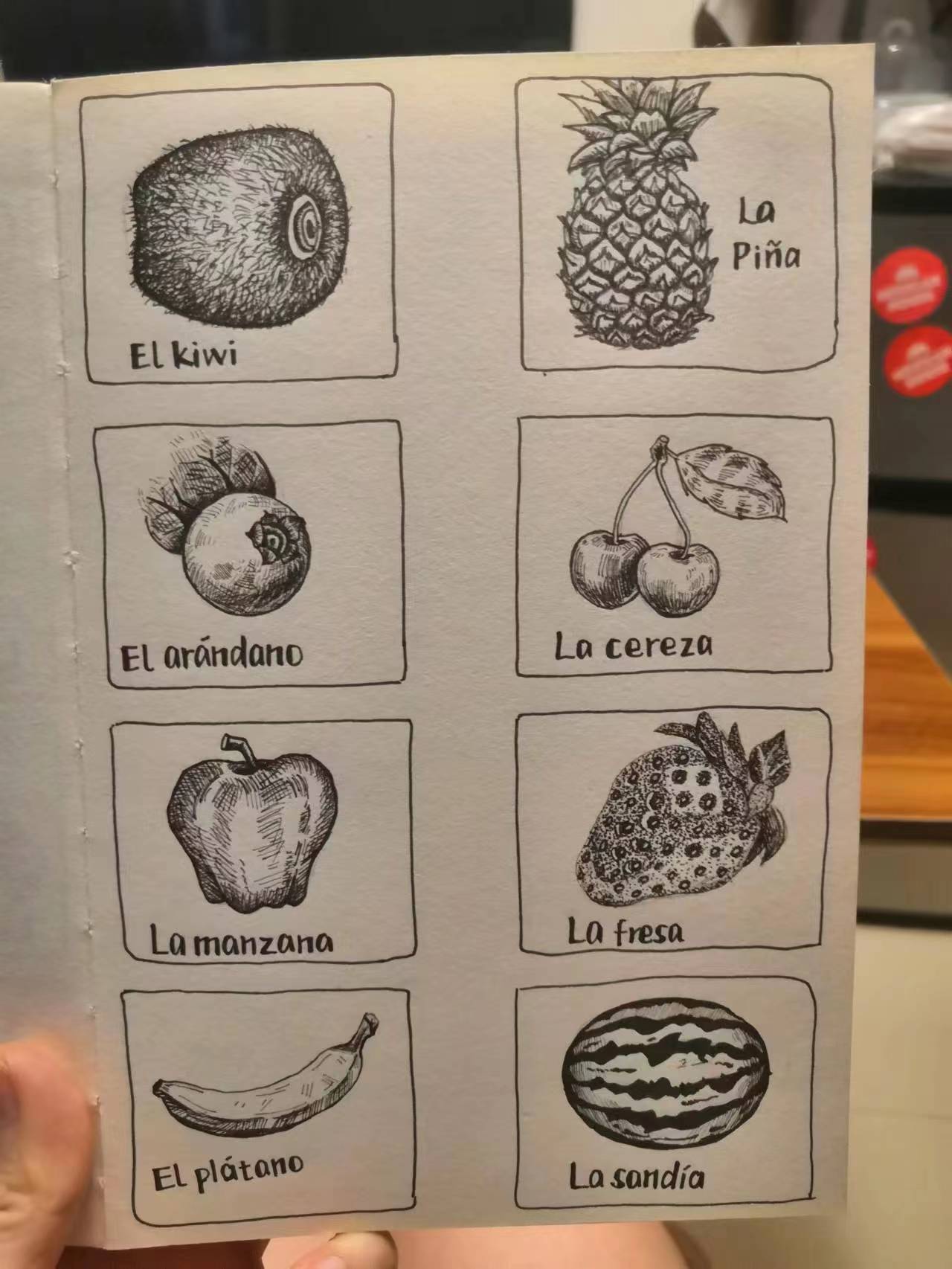 陈玲在自学西班牙语,把学到的单词画了下来。