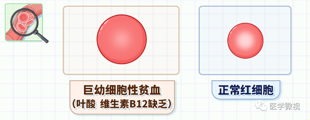 医院中最常见的报告单,原来可以看出这么多信息!__财经头条