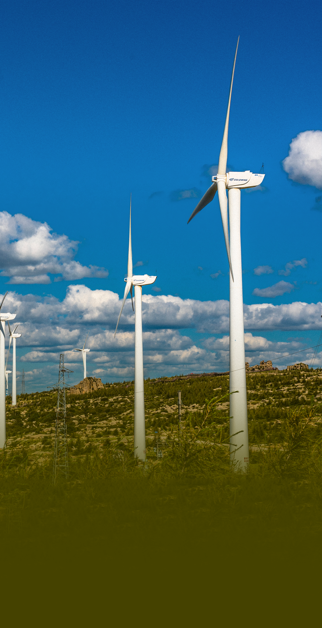 "三一系"又一公司上市,风电整机厂商黑马三一重能