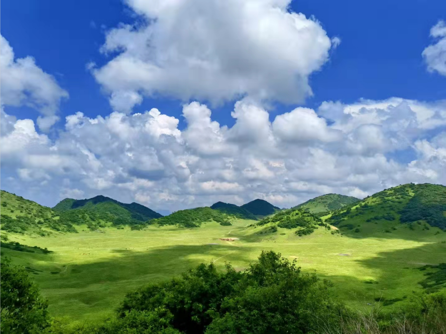 红池坝高山草场|红池坝|大自然_新浪新闻