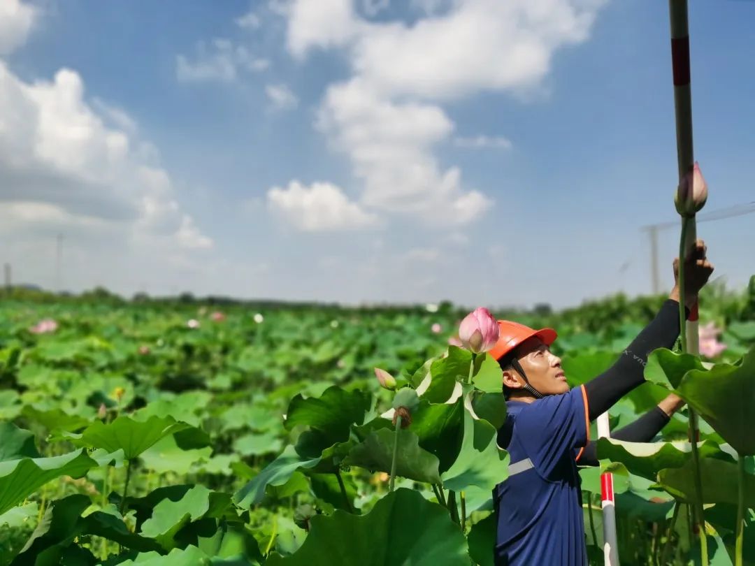 素材来源：中国电信编辑：张鸣监制：朱筠