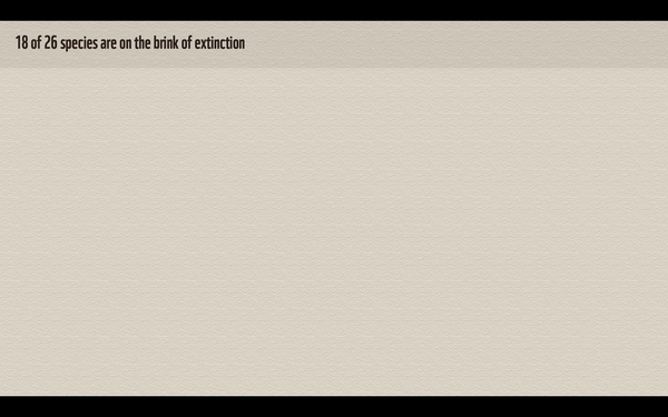 图片来源：WWF世界自然基金会