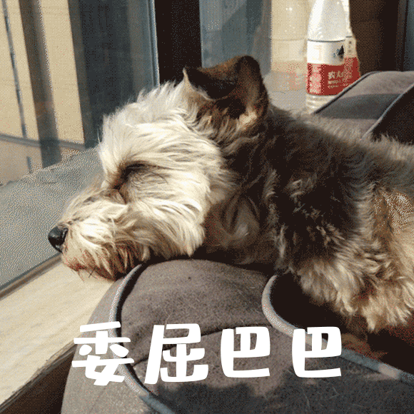 注意防范！郑州发布暴雨黄色预警！还有这个出行提醒休闲区蓝鸢梦想 - Www.slyday.coM