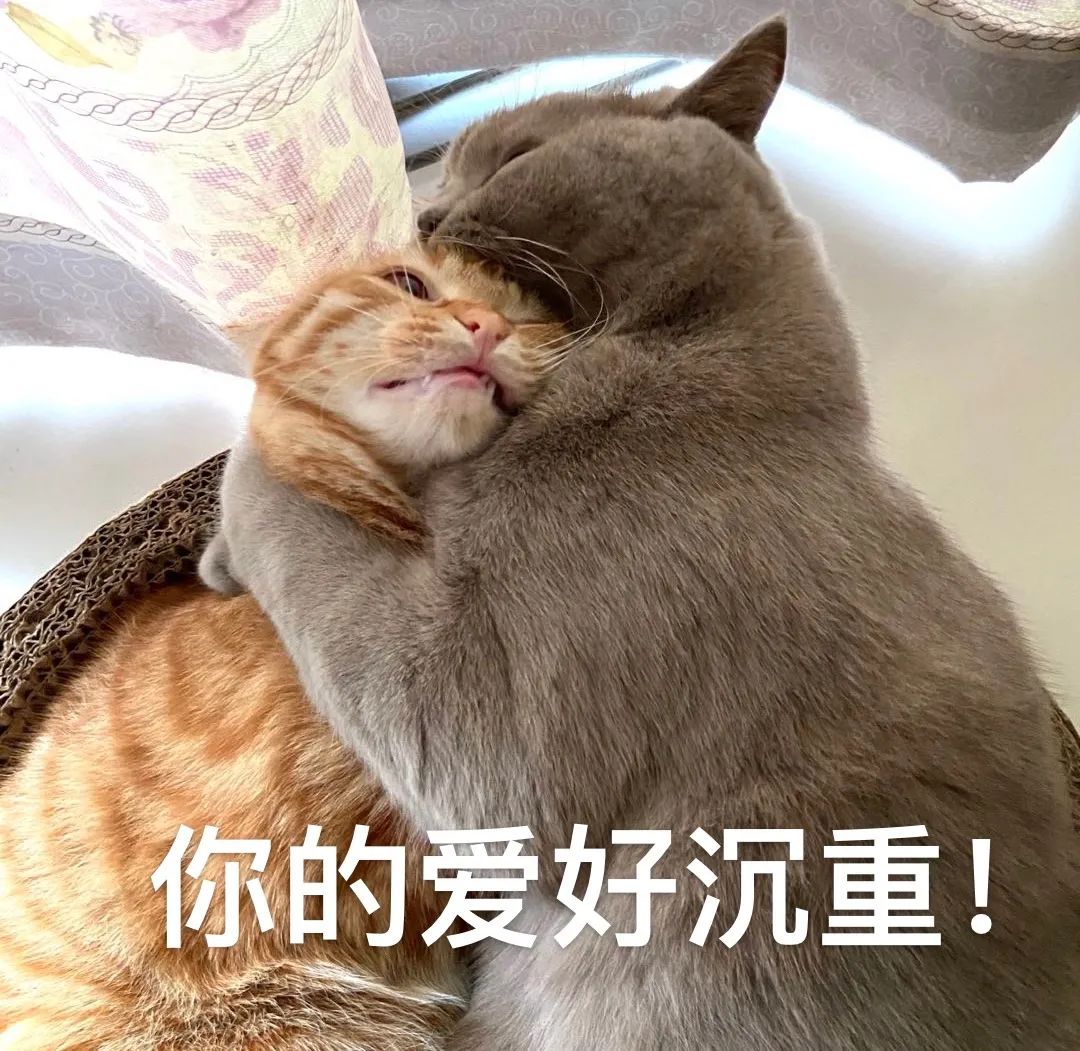 注意防范！郑州发布暴雨黄色预警！还有这个出行提醒休闲区蓝鸢梦想 - Www.slyday.coM