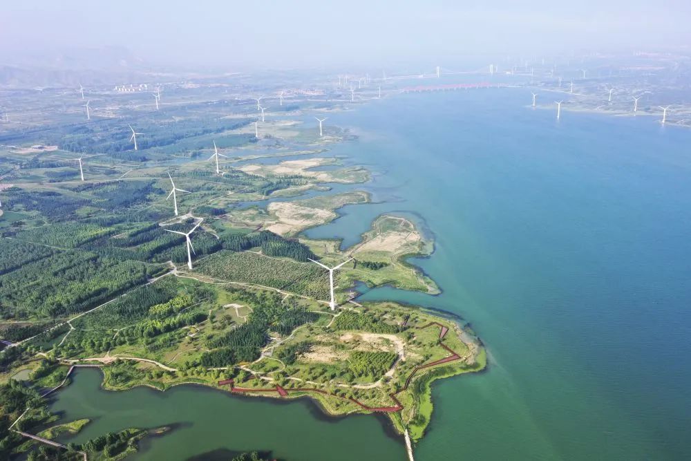 为了大河再奔涌_手机新浪网