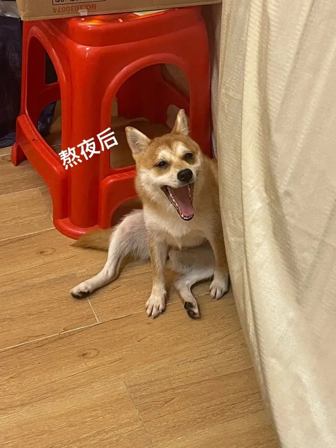 大半夜看着老公跟别人接吻是什么体验？你让睡在旁边的我情何以堪啊哈哈哈哈休闲区蓝鸢梦想 - Www.slyday.coM
