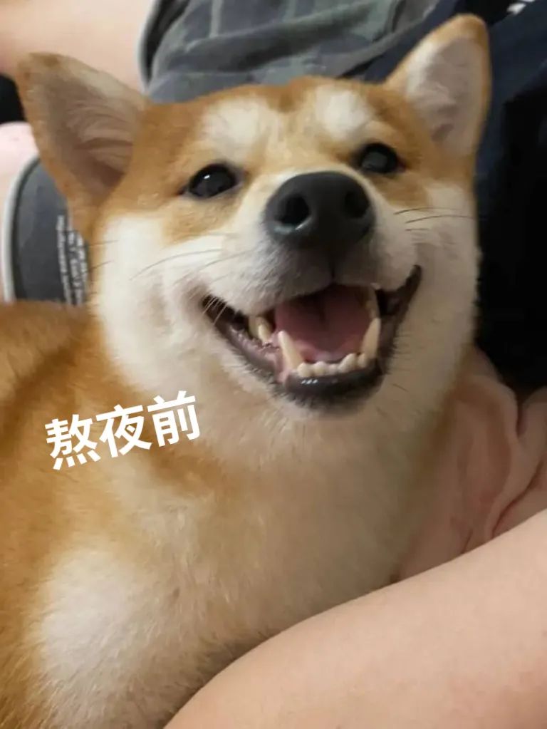 大半夜看着老公跟别人接吻是什么体验？你让睡在旁边的我情何以堪啊哈哈哈哈休闲区蓝鸢梦想 - Www.slyday.coM