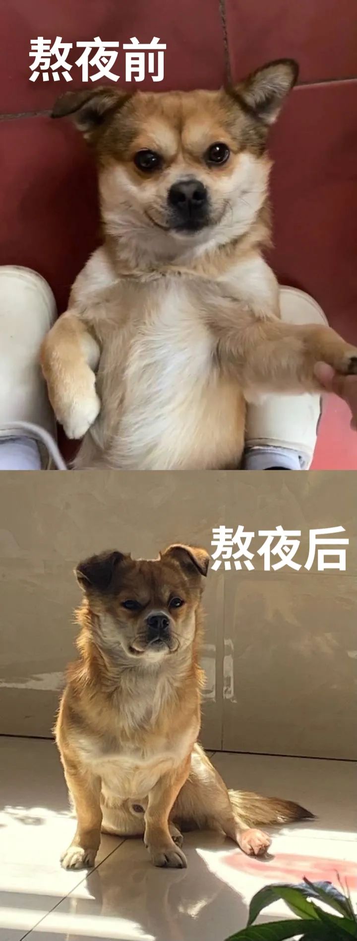 大半夜看着老公跟别人接吻是什么体验？你让睡在旁边的我情何以堪啊哈哈哈哈休闲区蓝鸢梦想 - Www.slyday.coM