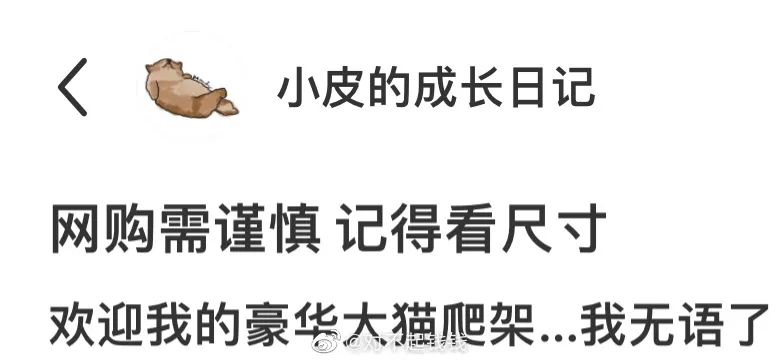 大半夜看着老公跟别人接吻是什么体验？你让睡在旁边的我情何以堪啊哈哈哈哈休闲区蓝鸢梦想 - Www.slyday.coM