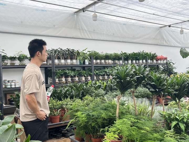 最近的杭州年轻人爱养绿植疗愈？花卉里的小众“四季青”突然成网红休闲区蓝鸢梦想 - Www.slyday.coM