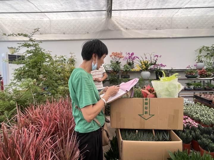 最近的杭州年轻人爱养绿植疗愈？花卉里的小众“四季青”突然成网红休闲区蓝鸢梦想 - Www.slyday.coM