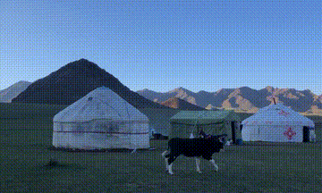 ▲图/受访者提供