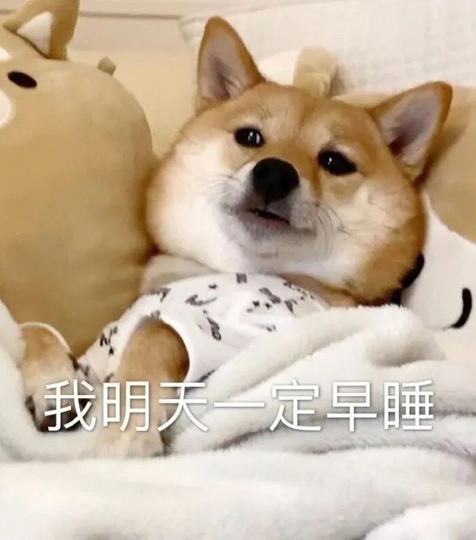 大半夜看着老公跟别人接吻是什么体验？你让睡在旁边的我情何以堪啊哈哈哈哈休闲区蓝鸢梦想 - Www.slyday.coM
