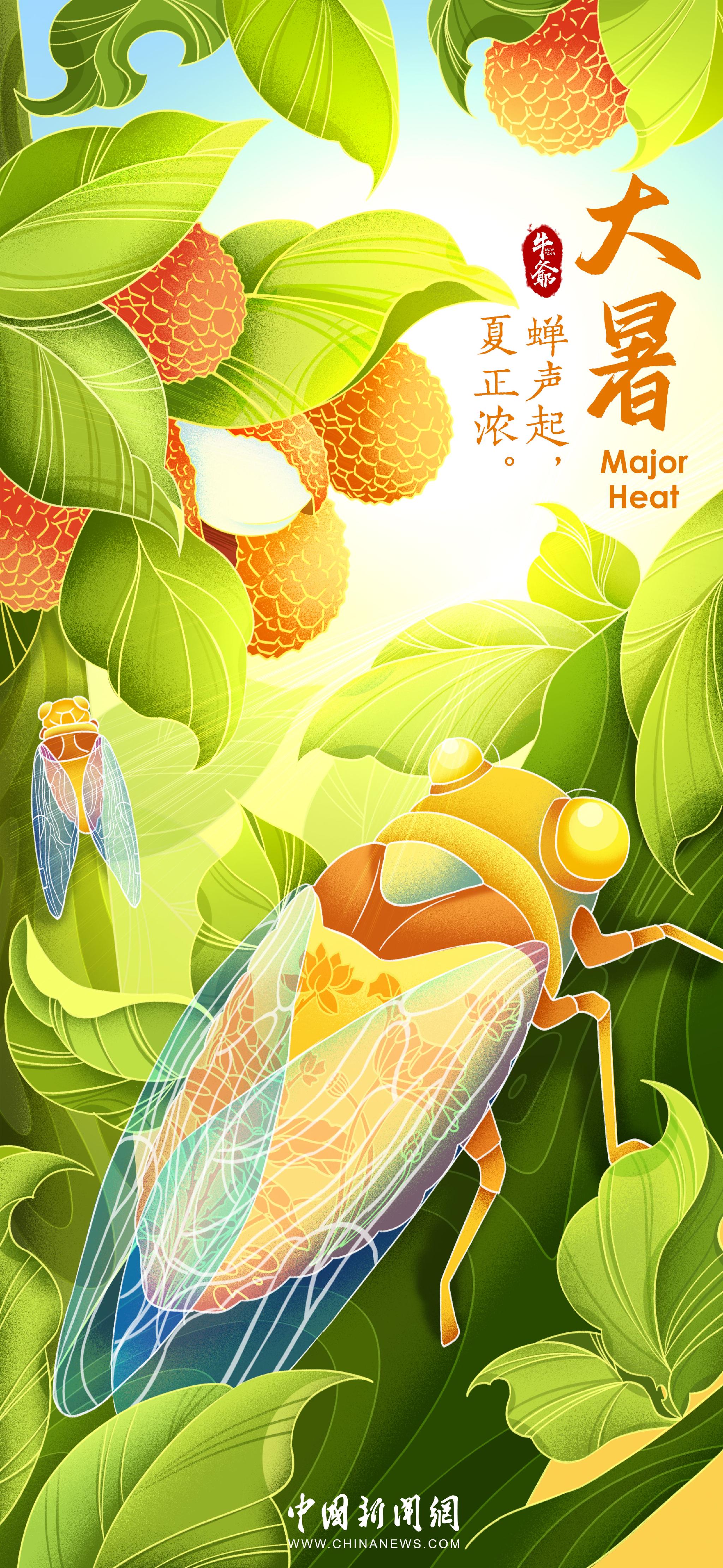 文明之美看东方今日大暑蝉声起夏正浓