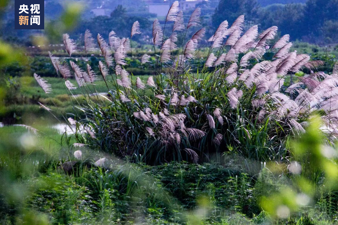 “扭扭车男孩”，收到大学录取通知书！休闲区蓝鸢梦想 - Www.slyday.coM