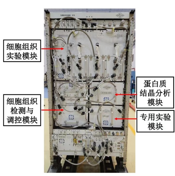 在太空养鱼、给舱内空气采样是种怎样的体验？问天实验舱里的它俩妙用多！休闲区蓝鸢梦想 - Www.slyday.coM