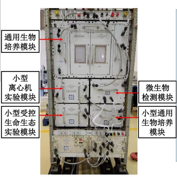 在太空养鱼、给舱内空气采样是种怎样的体验？问天实验舱里的它俩妙用多！休闲区蓝鸢梦想 - Www.slyday.coM