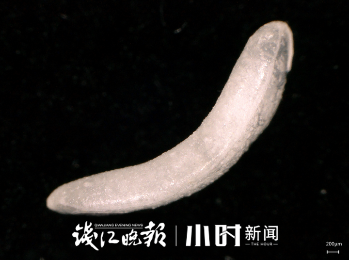 恰饭说休闲区蓝鸢梦想 - Www.slyday.coM