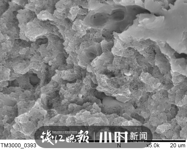 恰饭说休闲区蓝鸢梦想 - Www.slyday.coM