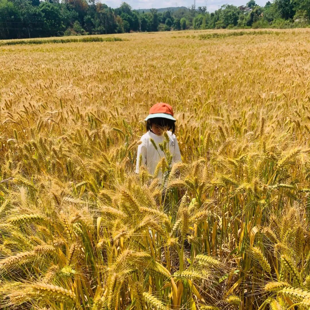 90后单亲爸爸带4岁女儿骑行西藏，4139公里！爆火2年后，现状让人意外......休闲区蓝鸢梦想 - Www.slyday.coM