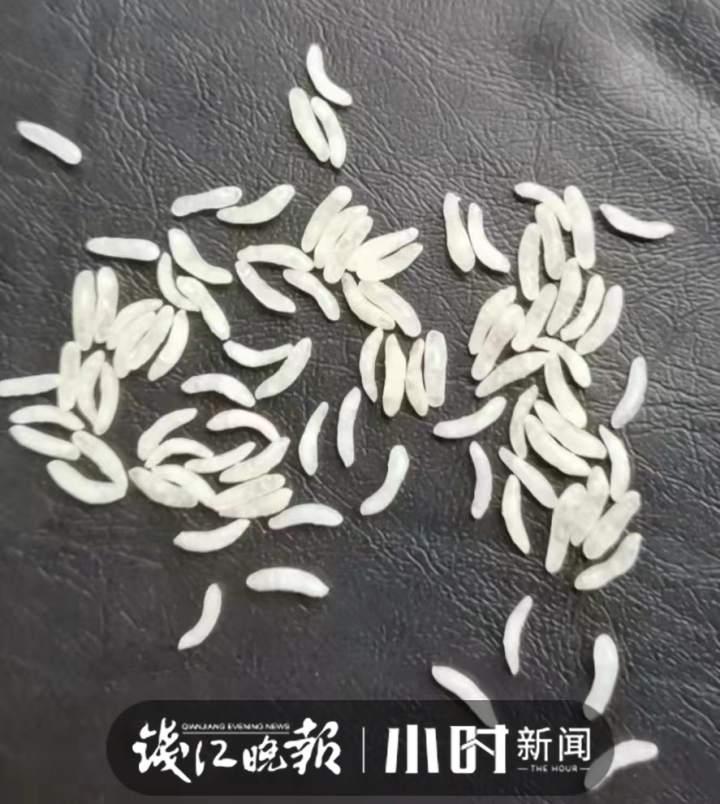 恰饭说休闲区蓝鸢梦想 - Www.slyday.coM