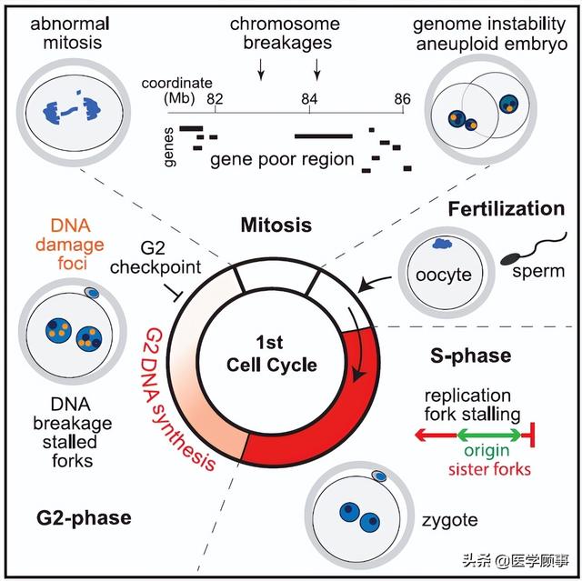 seo排名首页外推帖子
