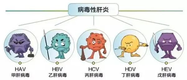 连吃3天这个东西！杭州27岁小伙“黄了”……医生提醒休闲区蓝鸢梦想 - Www.slyday.coM