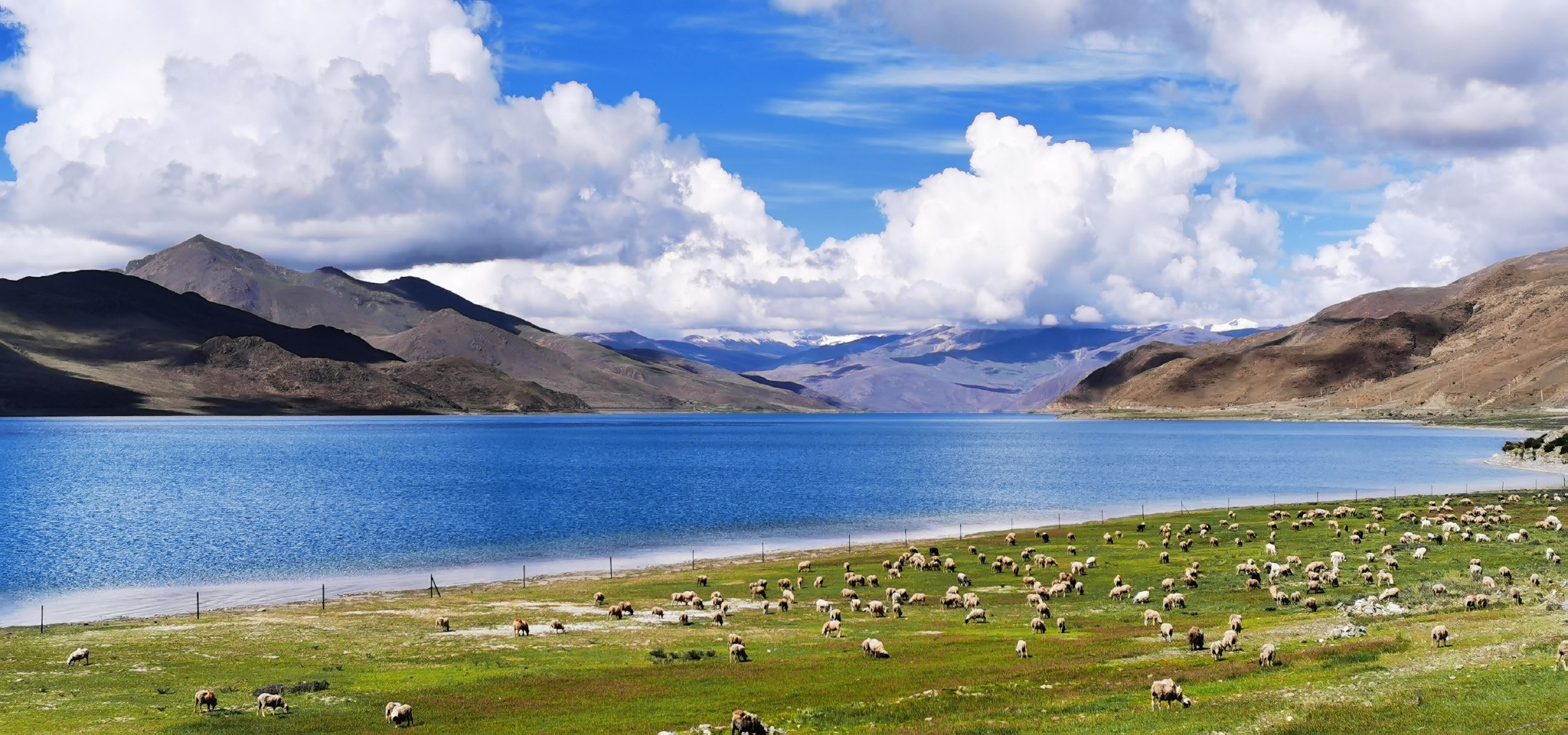 夏日多彩羊卓雍湖|羊卓雍湖|浪卡子县|沈虹_新浪新闻
