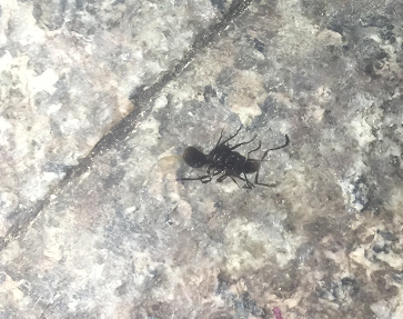 睡觉时被“会飞的蚂蚁”咬了一口，丽水一女子生命垂危，幸亏……休闲区蓝鸢梦想 - Www.slyday.coM