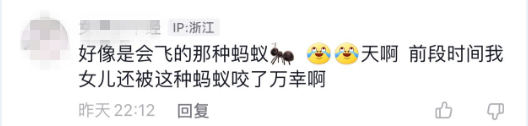 睡觉时被“会飞的蚂蚁”咬了一口，丽水一女子生命垂危，幸亏……休闲区蓝鸢梦想 - Www.slyday.coM
