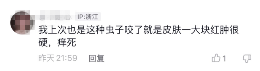 睡觉时被“会飞的蚂蚁”咬了一口，丽水一女子生命垂危，幸亏……休闲区蓝鸢梦想 - Www.slyday.coM
