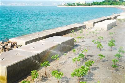 让城市发展更加可持续各地强化系统协调和因地制宜建设 韧性城市 基础设施 新浪财经 新浪网