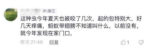 睡觉时被“会飞的蚂蚁”咬了一口，丽水一女子生命垂危，幸亏……休闲区蓝鸢梦想 - Www.slyday.coM