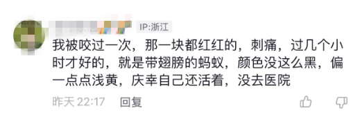 睡觉时被“会飞的蚂蚁”咬了一口，丽水一女子生命垂危，幸亏……休闲区蓝鸢梦想 - Www.slyday.coM