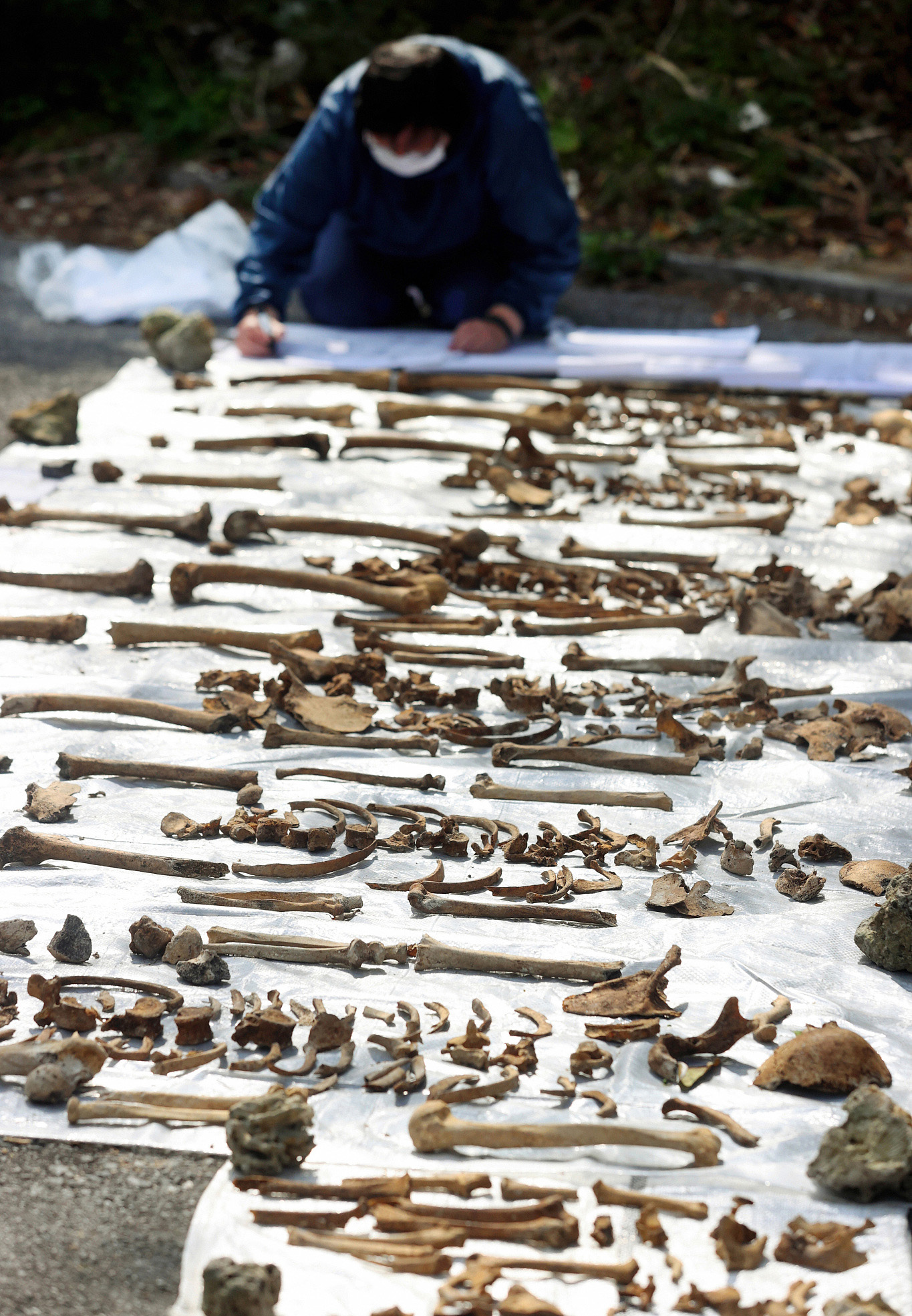 冲绳战场的收尸人