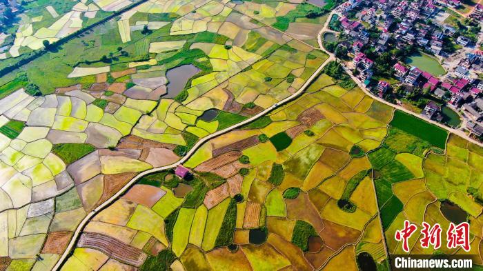 航拍江西吉安壮美农田色彩斑斓宛若大地调色板