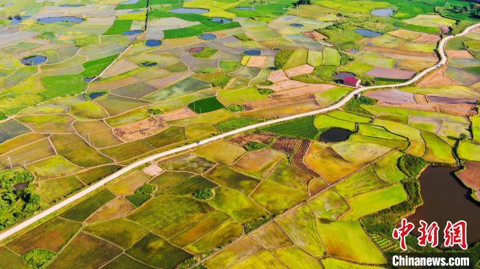 航拍江西吉安壮美农田色彩斑斓宛若大地调色板