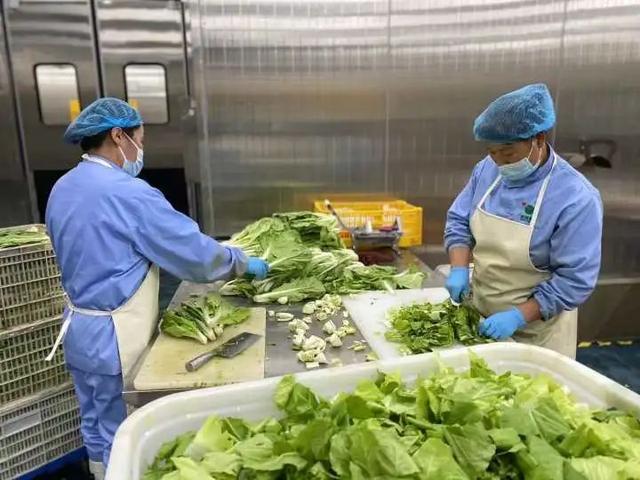 蔬菜加工,全程在4℃恒温车间进行.