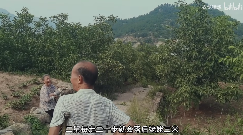 “二舅”治好了你的精神内耗吗？休闲区蓝鸢梦想 - Www.slyday.coM