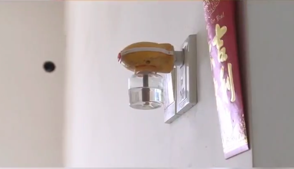 饮食精确到克 不买空调 每月水电气费不超30元……42岁大学老师征婚：我的价值观一般人很难接受休闲区蓝鸢梦想 - Www.slyday.coM