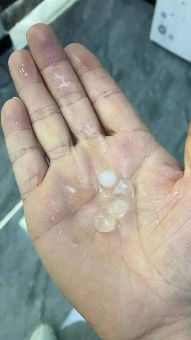“第一次见这么大的！”杭州下起冰雹，有人被砸肿！台风、降温都要来了？休闲区蓝鸢梦想 - Www.slyday.coM