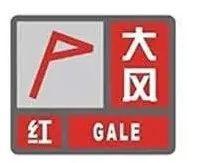“第一次见这么大的！”杭州下起冰雹，有人被砸肿！台风、降温都要来了？休闲区蓝鸢梦想 - Www.slyday.coM