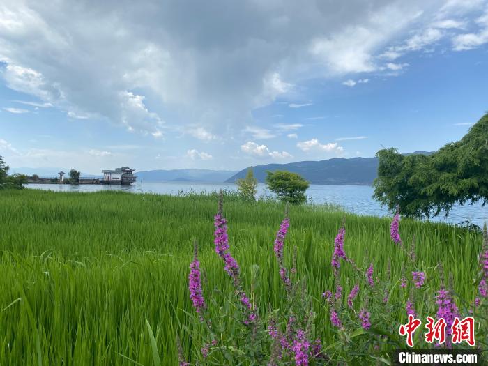 大理文旅融合创新突破 两大IP话题播放量超50亿次休闲区蓝鸢梦想 - Www.slyday.coM