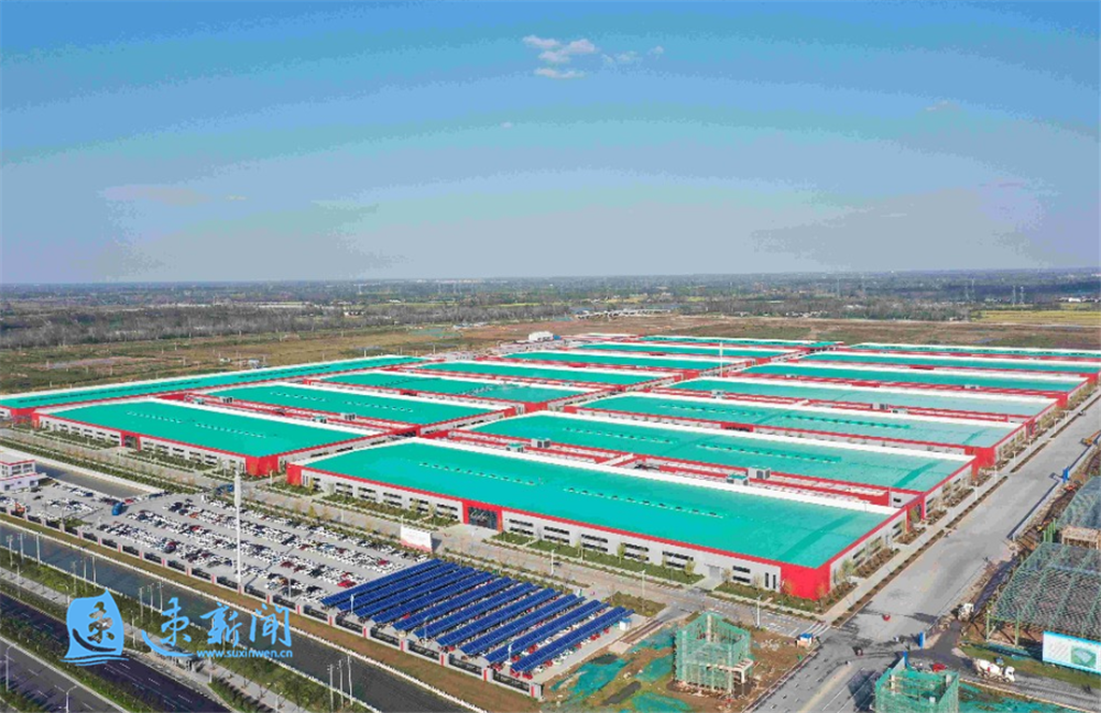 北京站街现象探析,城市治理与人性的多维博弈