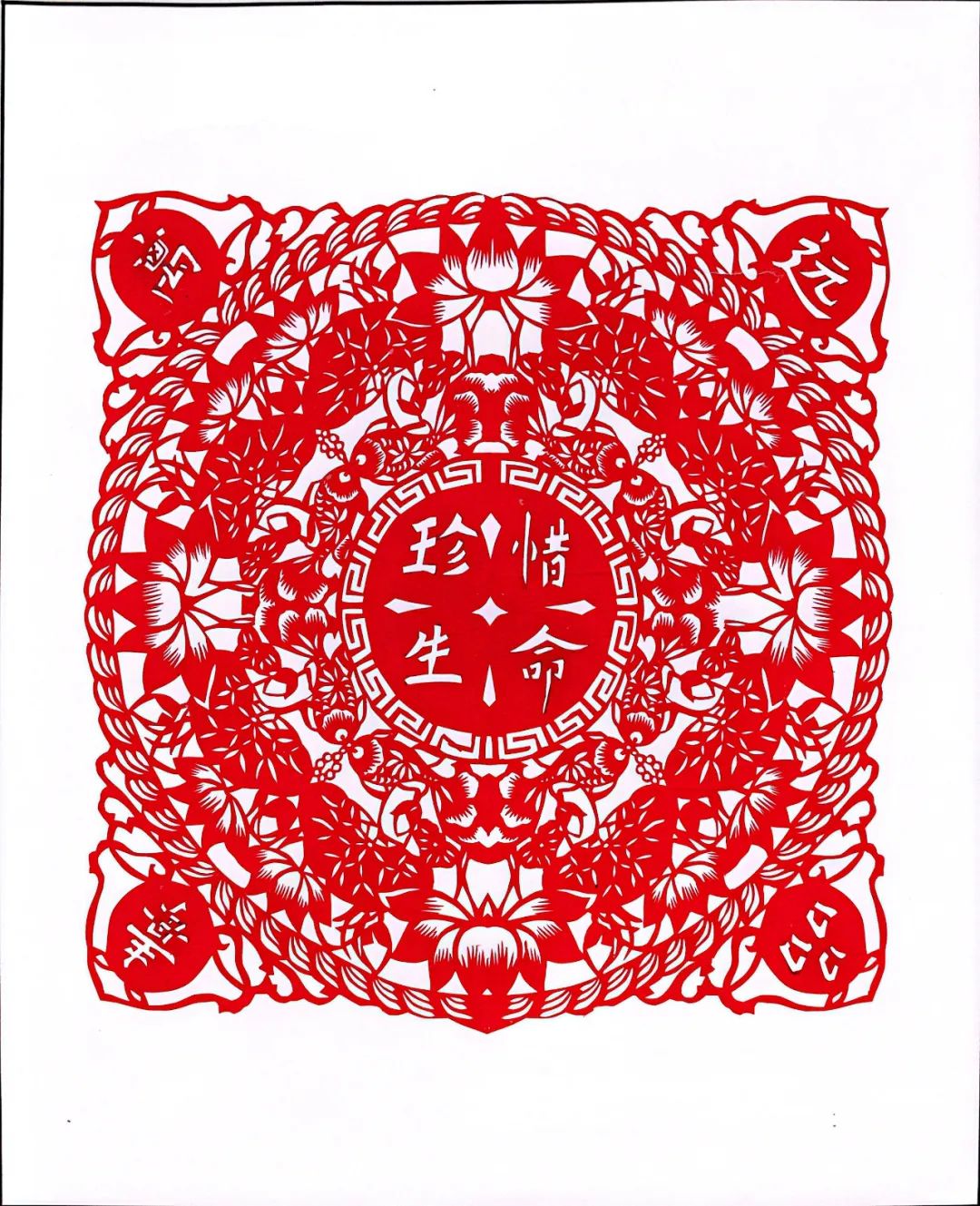 方寸之间有天地,传承焕新说禁毒|剪纸_新浪新闻