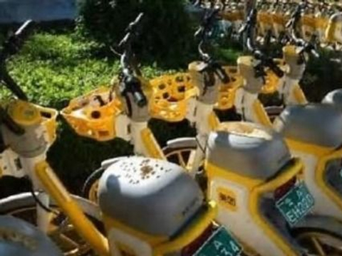 恶性竞争！哈啰城市经理划破70辆美团电单车坐垫，被行政拘留10日