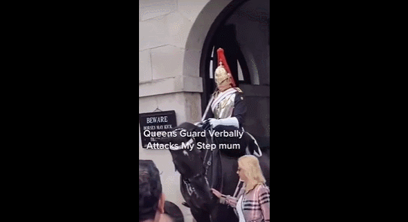 英皇家卫队骑兵喝斥碰缰绳游客 视频发布者:不会再来