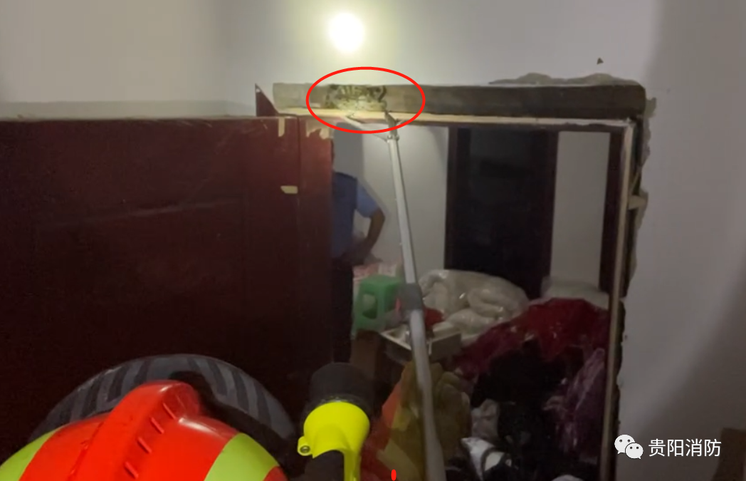 男子睡得正香，下一秒被吓到失去表情！贵阳消防：一个月抓8回了……休闲区蓝鸢梦想 - Www.slyday.coM