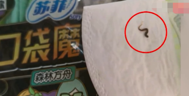苏菲卫生巾被曝有虫子尸体：多次因特种设备问题
