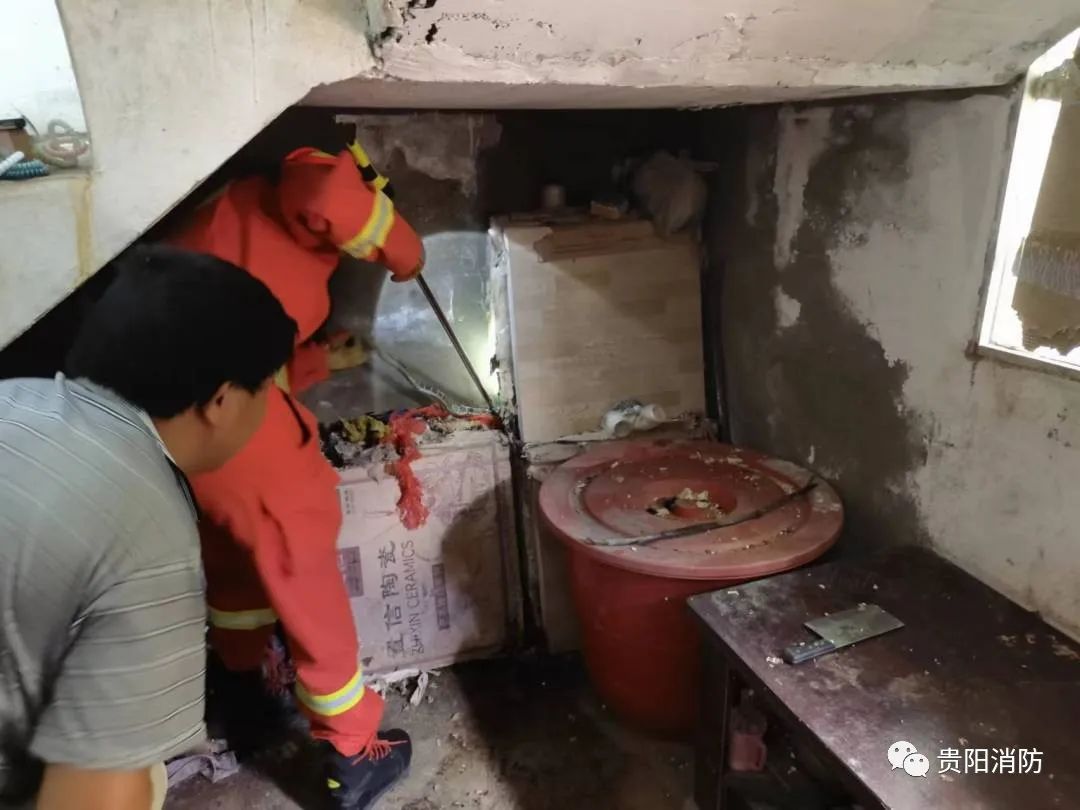 男子睡得正香，下一秒被吓到失去表情！贵阳消防：一个月抓8回了……休闲区蓝鸢梦想 - Www.slyday.coM